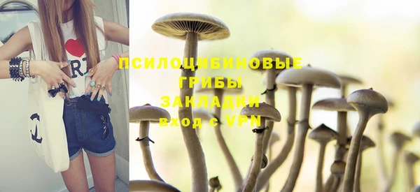 стаф Мегион