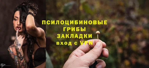 стаф Мегион