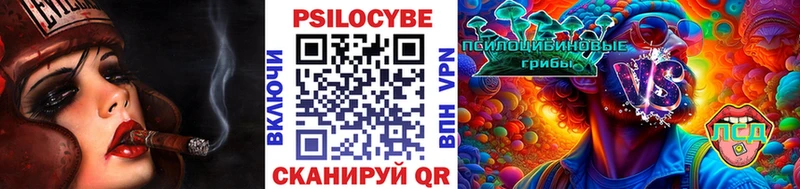 Псилоцибиновые грибы мухоморы  это телеграм  Шебекино  наркошоп 